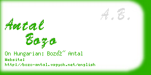 antal bozo business card